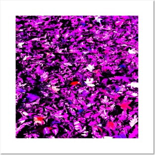 Purple Colored Fall Leaves Posters and Art